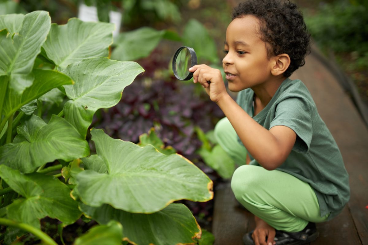 A boy looking at a plant with a magnifying glass