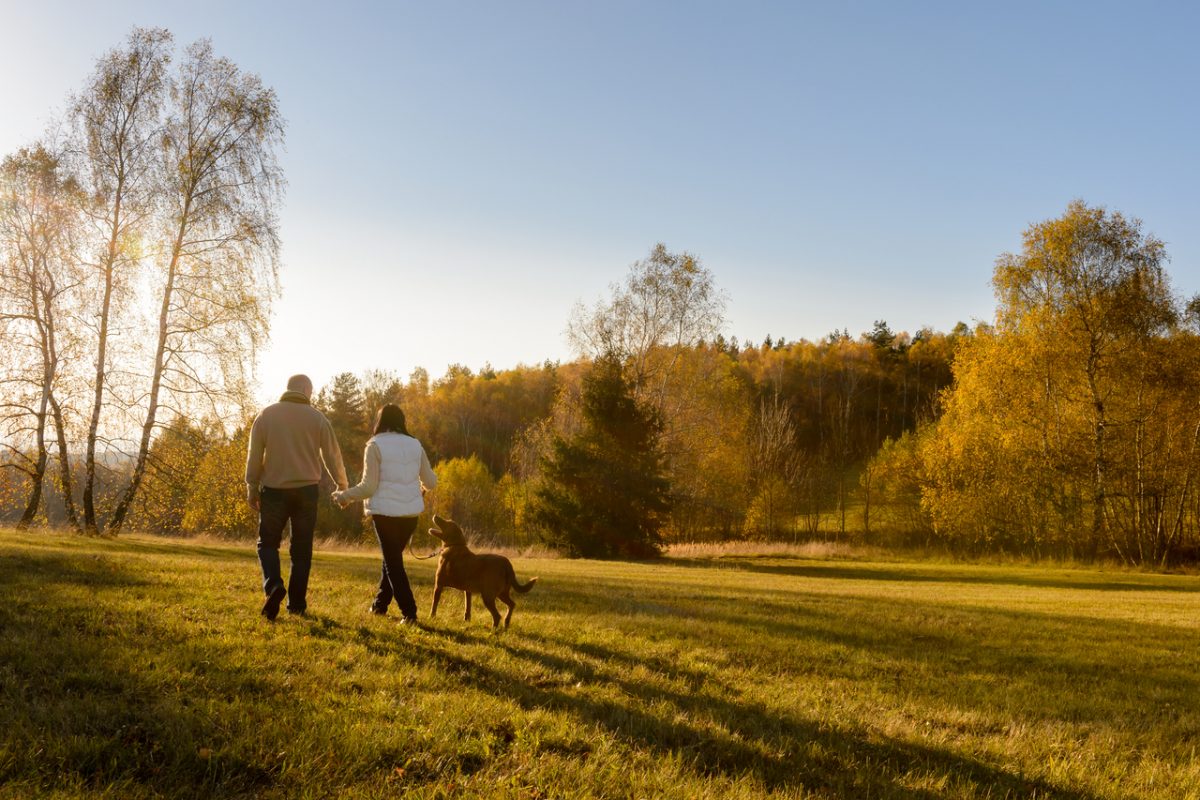 A couple walking a dog in the countryside.