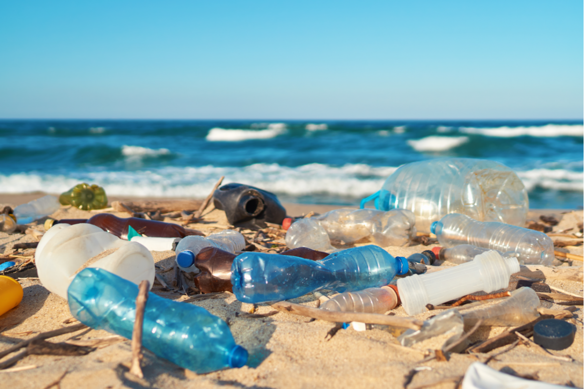 A beach with plastic waste.